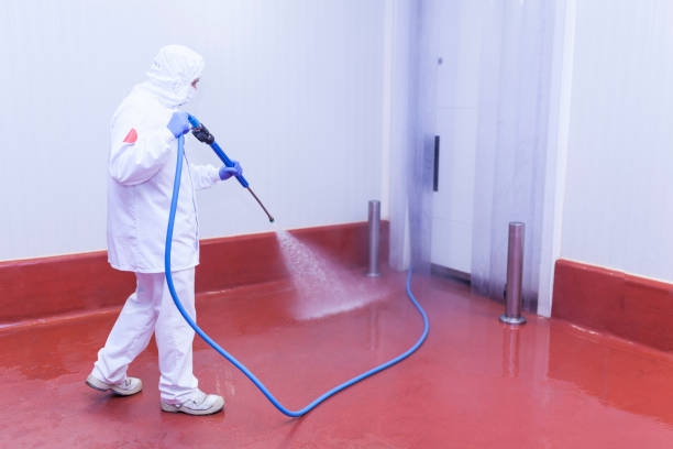 Best Spring Cleaning  in Crystal Lake, FL